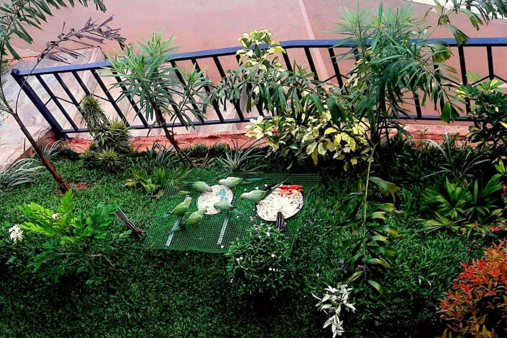 Saru Holiday Apartment - Upto 6 Guests Kandy Buitenkant foto